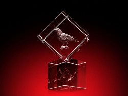 strahlend, LEDs, glasbild, geschenkidee, fotogeschenk, GLASFOTO.COM